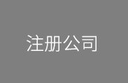 注册公司